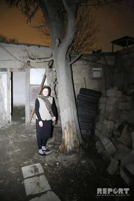 Ağac hər an evin üzərinə düşə bilər - VİDEOREPORTAJ