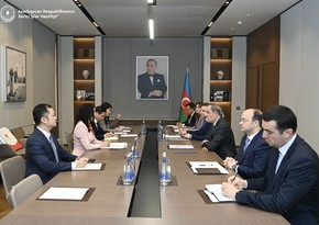 Bayramov briefs Vietnamese deputy FM on Baku-Yerevan peace process