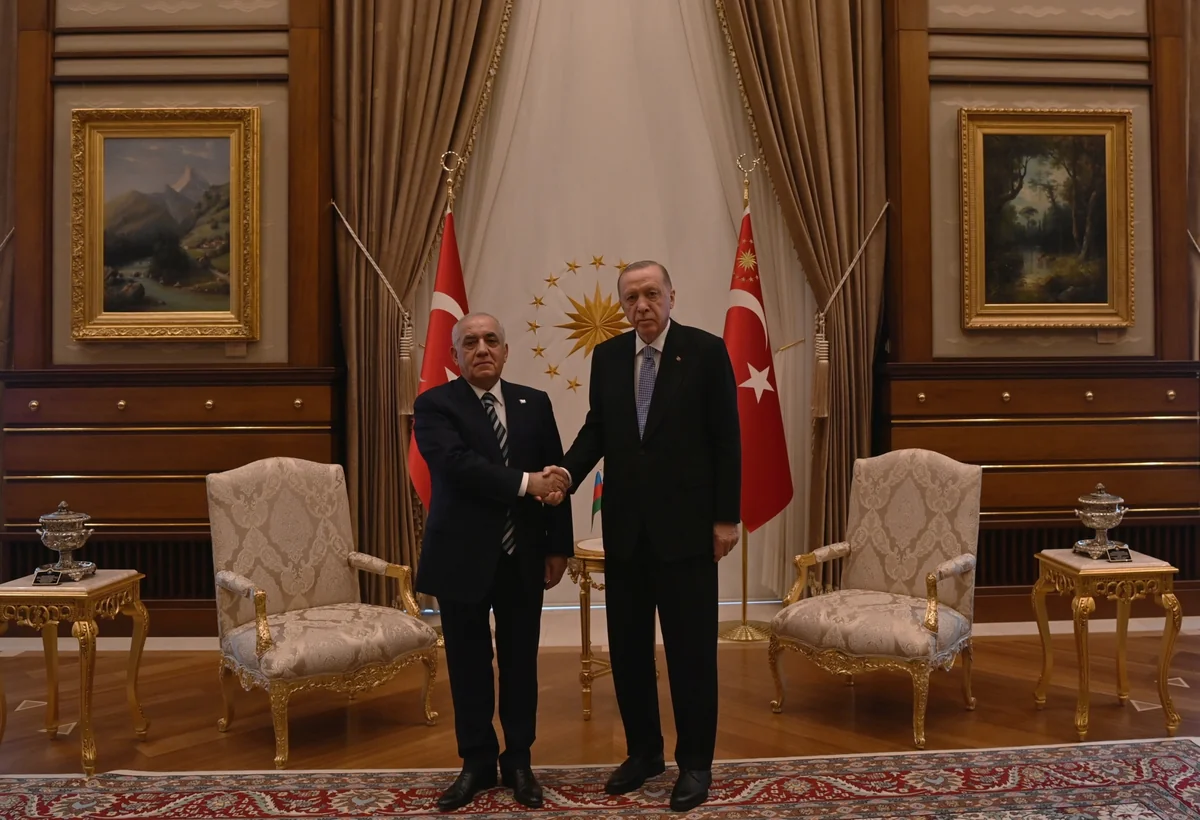 Ərdoğan Əli Əsədovu qəbul edib, ona COP-29-la bağlı rəsmi dəvət məktubu təqdim olunub - YENİLƏNİB