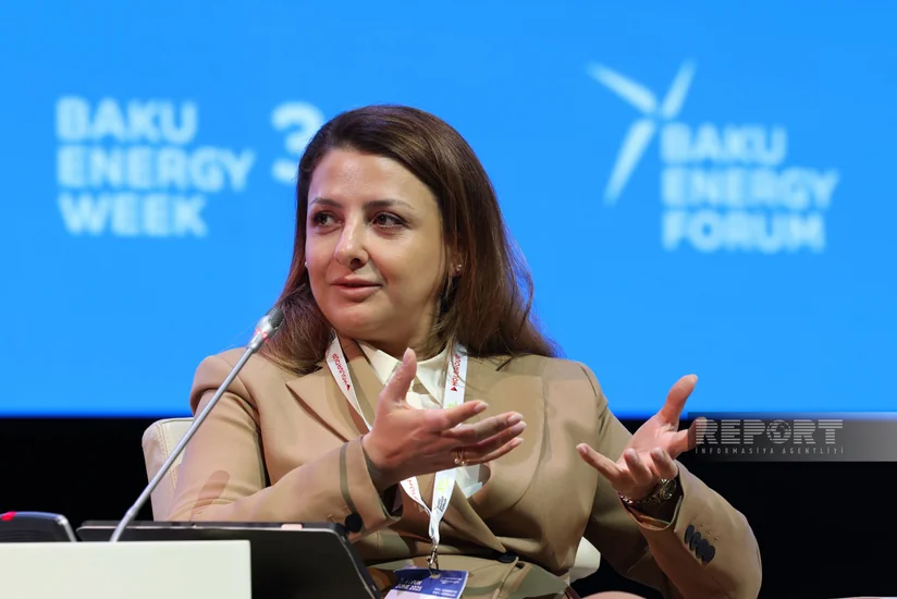 Айтян Гаджиева: BP применяет ИИ для автоматизации, но к передаче ему решений пока не готова