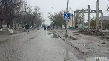 Sumqayıtda aşan ağacın altında qalan məktəbli qız ağır xəsrət alıb