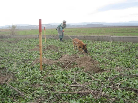 ANAMA Cocuq Mərcanlıda aparılan təmizləmə əməliyyatları barədə məlumat yayıb