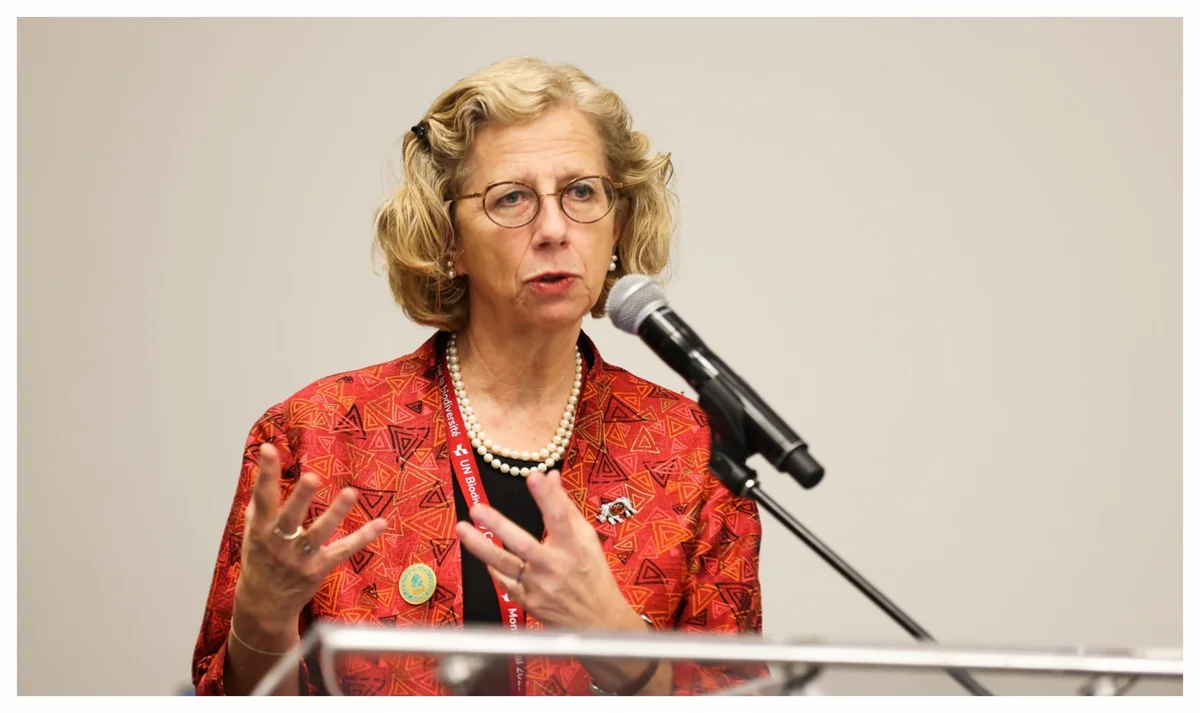 UNEP chief calls on world community to focus on making concrete decisions at COP29 in Baku