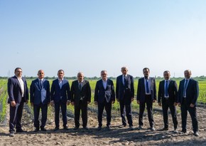 “Qurtuluş Günündə - gələcək naminə: Azərbaycan yeni aqrar əsasları necə qurur”