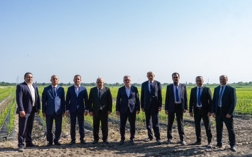 On the day of National Salvation - for the future: How Azerbaijan is laying a new agricultural foundation