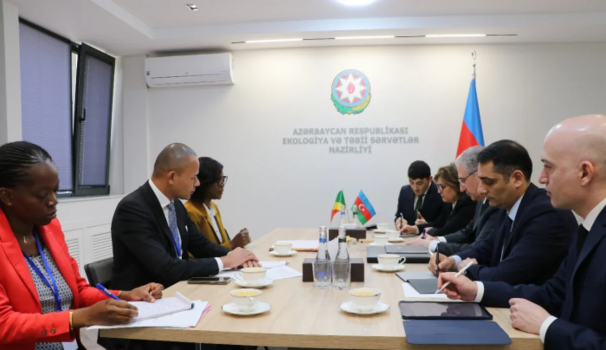 Mukhtar Babayev discusses preparations for COP29 with Congolese minister