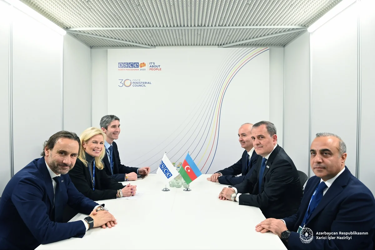 Azərbaycanla ATƏT PA arasında əməkdaşlıq müzakirə edilib - YENİLƏNİB
