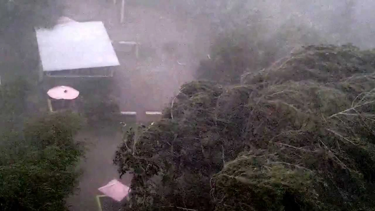 Крупнейшие природные катастрофы, потрясшие мир в 2016 году