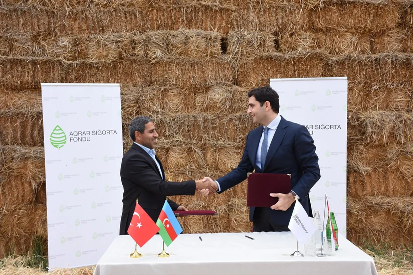 Azərbaycanda dövlət dəstəyi ilə ilk aqrar sığorta müqaviləsi imzalanıb