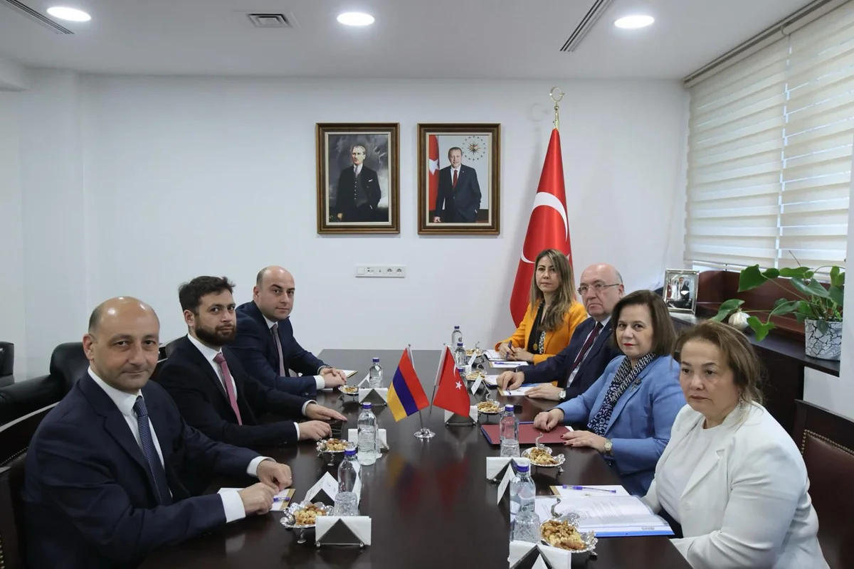 Türkiyə və Ermənistan XİN rəsmiləri ikitərəfli məsələləri müzakirə ediblər