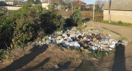 Masallıda bələdiyyə sədri inzibati məsuliyyətə cəlb olunub