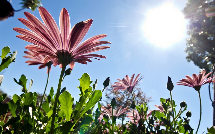 Weather forecast for June 5 in Azerbaijan announced