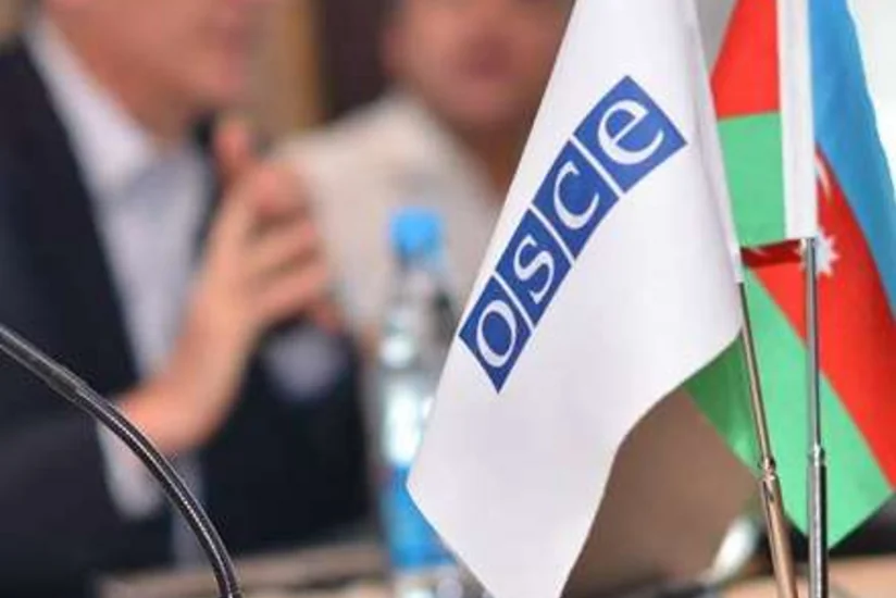 Azay Quliyevin hazırladığı qətnamə ATƏT PA-da qəbul olunub