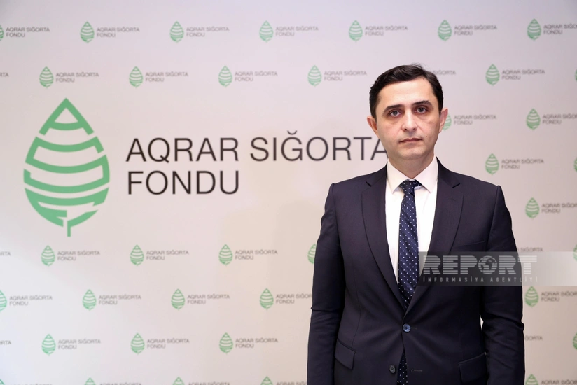 Azərbaycanda aqrar sığorta potensialının 90 %-dən istifadə olunmur