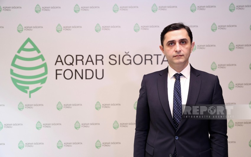 Azərbaycanda aqrar sığorta potensialının 90 %-dən istifadə olunmur