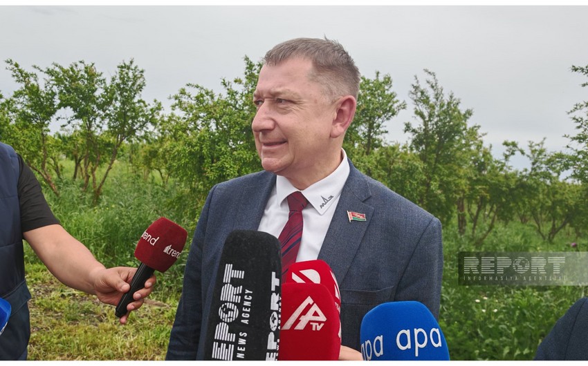 Minsk Automobile Plant plans to expand cooperation with Azerbaijan