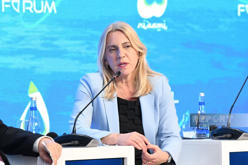 Jelka Tsviyanoviç: Müasir dünyada aktual problemlərin həlli üçün dialoq lazımdır
