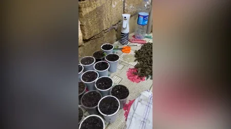 14 kiloqrama yaxın narkotik vasitə qanunsuz dövriyyədən çıxarılıb