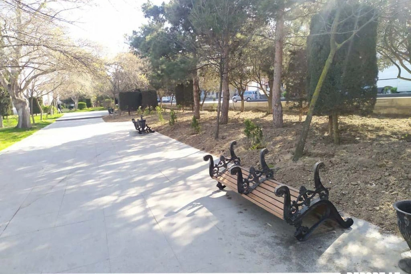 В связи с коронавирусом в парках убрали скамейки