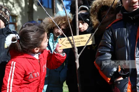 Xocalı soyqırımının qurbanı olan uşaqların xatirəsinə Bakıda 63 ağac əkilib
