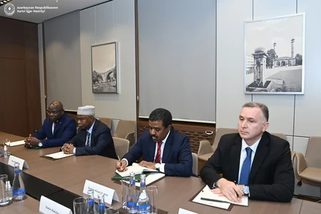 Azerbaijani FM meets with OIC Secretary-General 