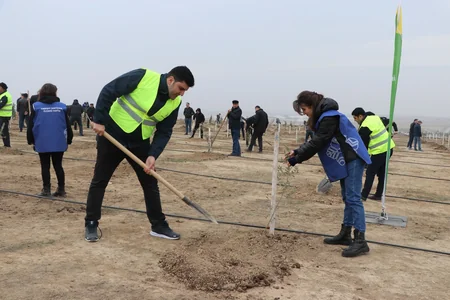 Heydər Əliyevin 100 illik yubileyi ilə əlaqədar növbəti ağacəkmə tədbiri keçirilib