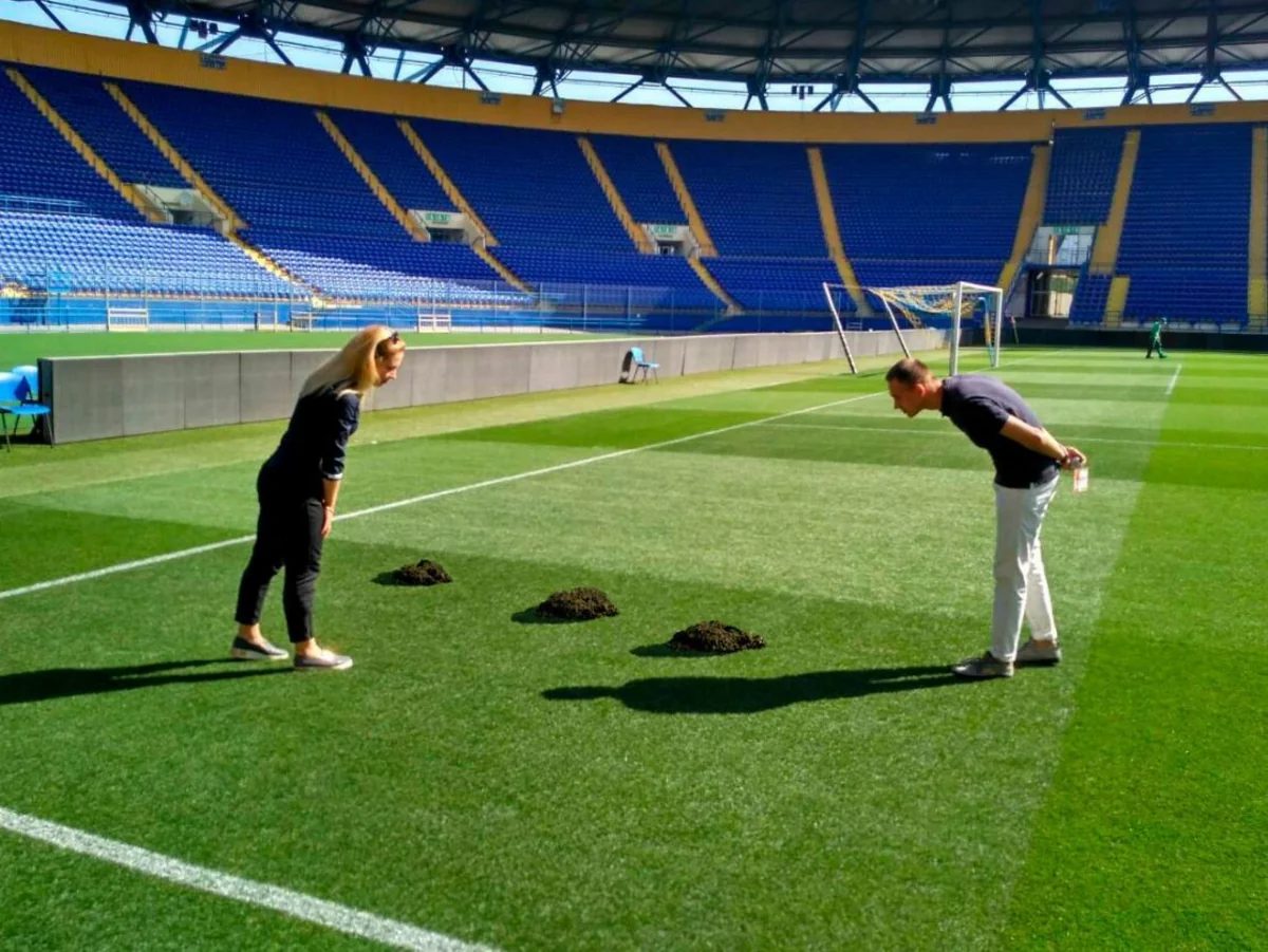 Çempionlar Liqasının oyununun keçiriləcəyi stadionda köstəbəklər peyda olub