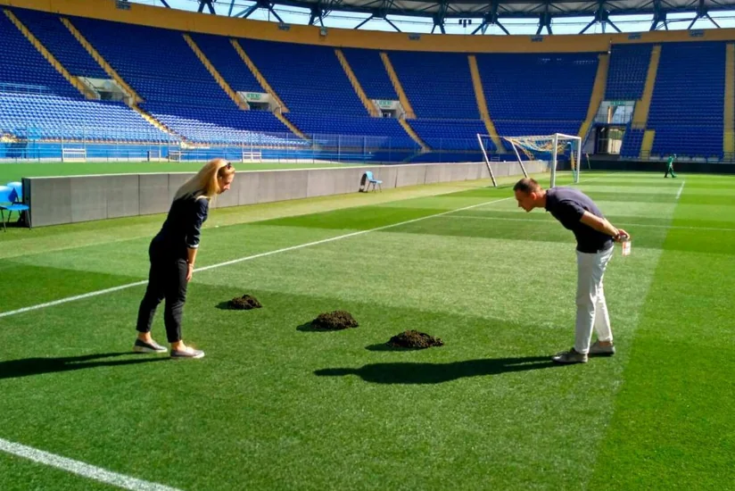 Çempionlar Liqasının oyununun keçiriləcəyi stadionda köstəbəklər peyda olub