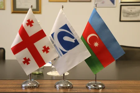 Gürcüstanın Qafqaz Universiteti Azərbaycanın ali məktəbləri ilə əməkdaşlığın inkişafına maraq göstərir 