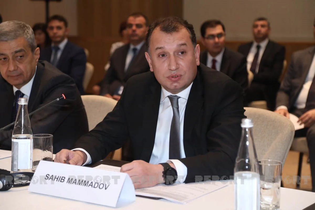 Mutual investments between Azerbaijan and Romania announced 