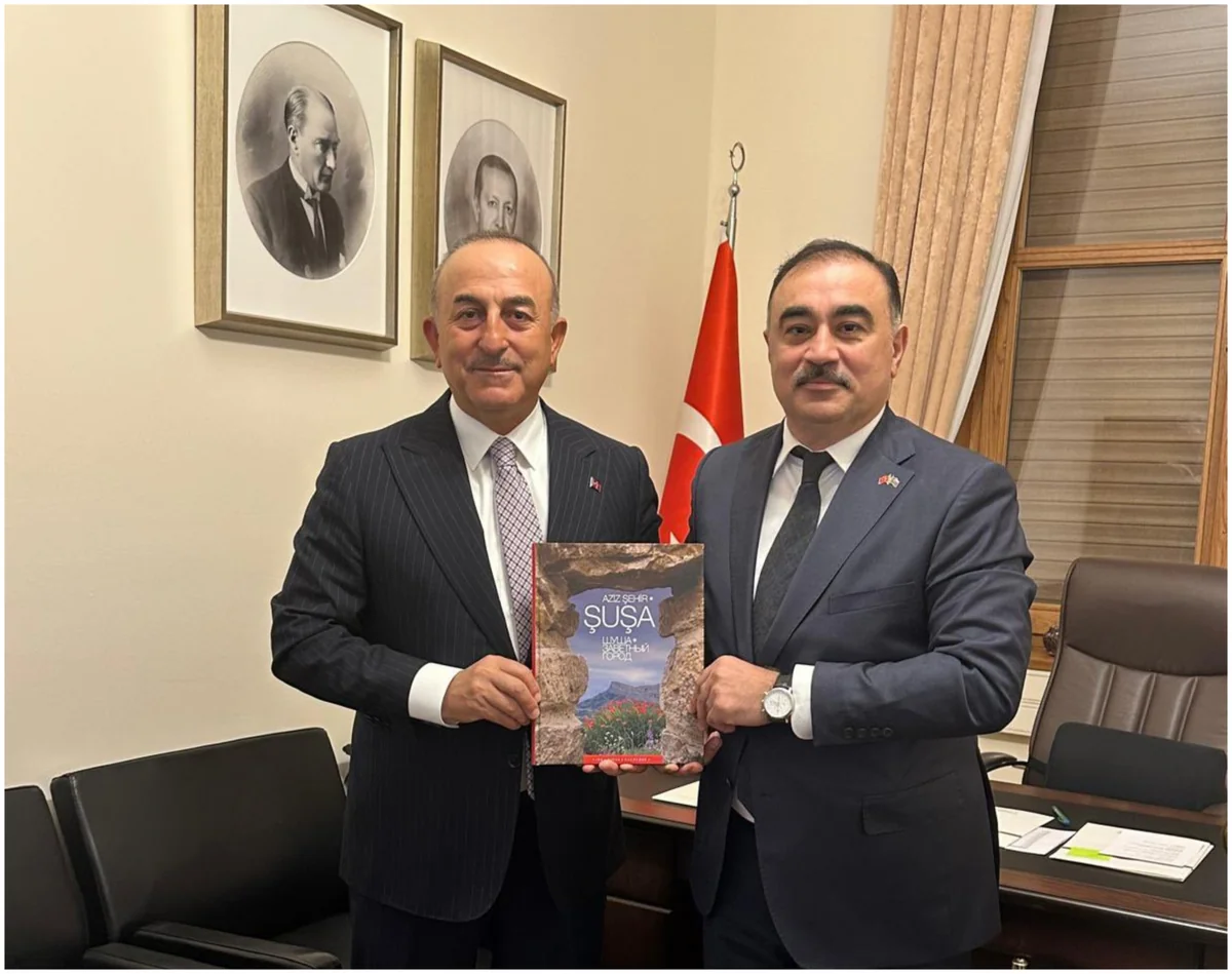 Azerbaijani ambassador meets with Mevlut Cavusoglu
