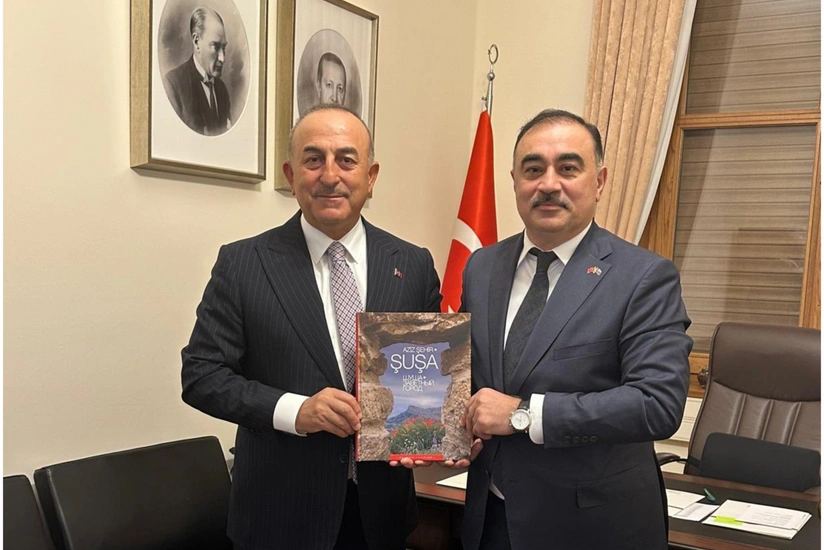 Посол Азербайджана встретился с Мевлютом Чавушоглу