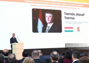 Azerbaijani healthcare delegation to visit Hungary in June