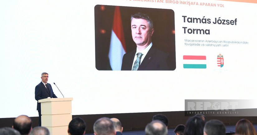 Azerbaijani healthcare delegation to visit Hungary in June