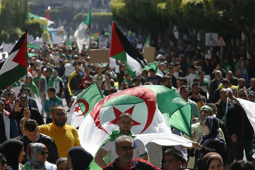 В Алжире начались досрочные парламентские выборы