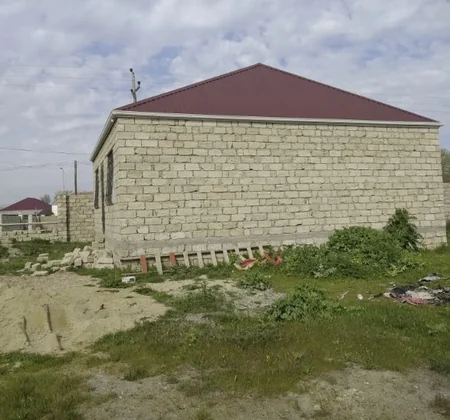 Asan qazanc hərisliyi COVID-19-dan daha yaşlı və qorxuludur - ARAŞDIRMA
