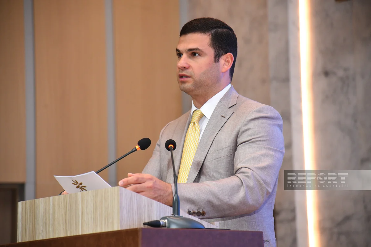 Azerbaijan receives over 3,700 foreign investment requests for Karabakh, Eastern Zangazur