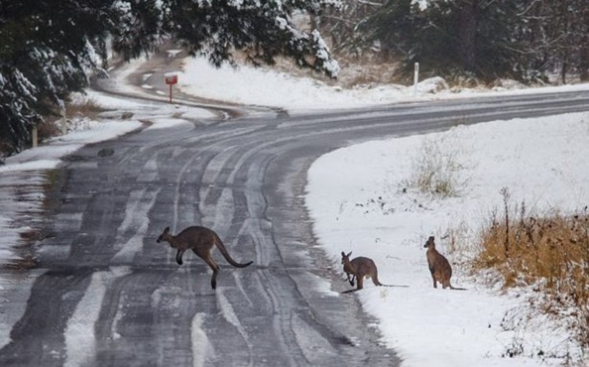 Snow in Austraila: isy cold snap