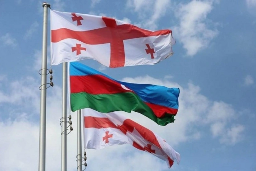 Co-chair of Commission on Azerbaijani-Georgian border given new position