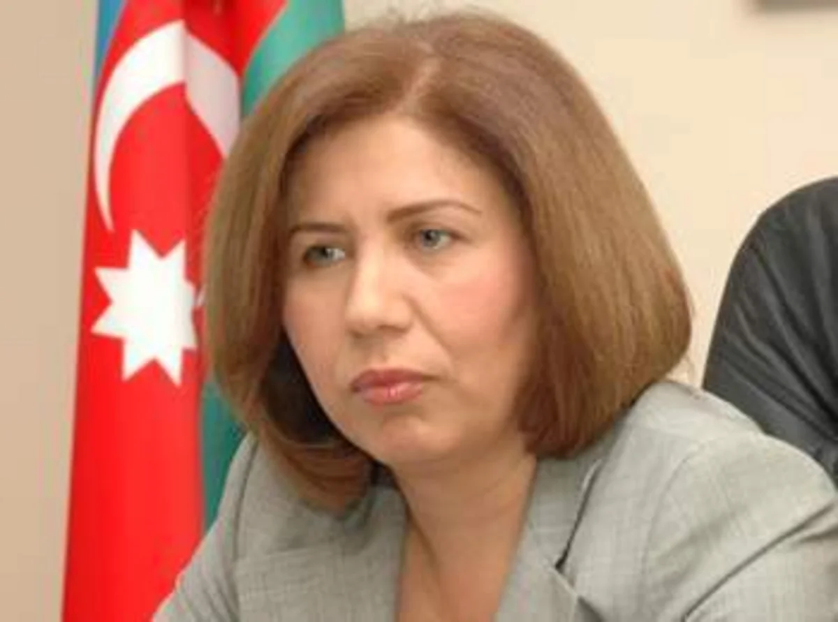 Vitse-spiker: Milli Məclis vətəndaş cəmiyyəti institutları ilə sıx əməkdaşlıqda maraqlıdır