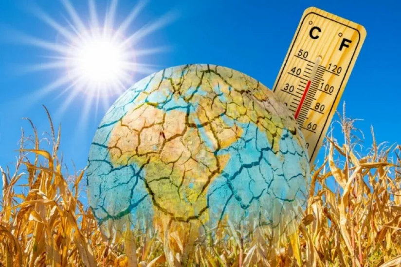 Global temperatures reach unprecedented heights | Report.az