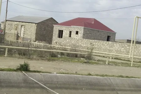 Asan qazanc hərisliyi COVID-19-dan daha yaşlı və qorxuludur - ARAŞDIRMA