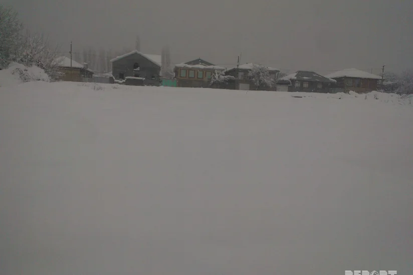 Azərbaycan ərazisində ən çox qar Qax rayonuna düşüb - FOTO