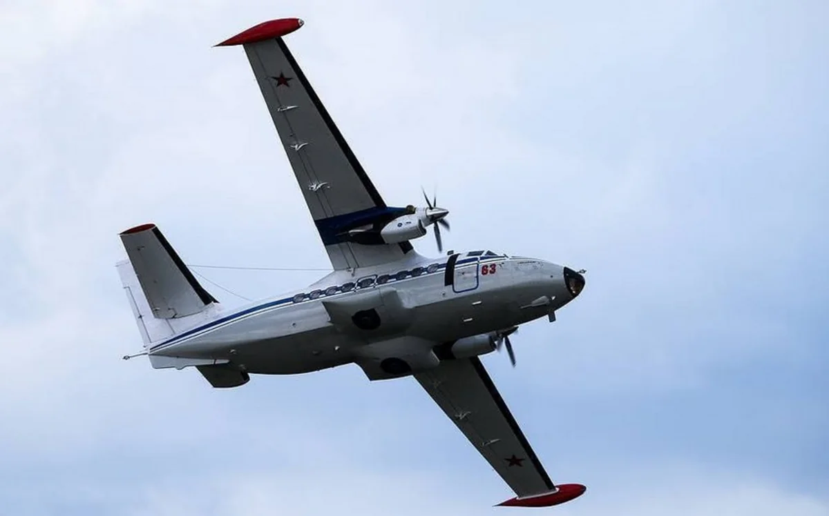 Plane makes emergency landing at Australian airport after landing gear fails