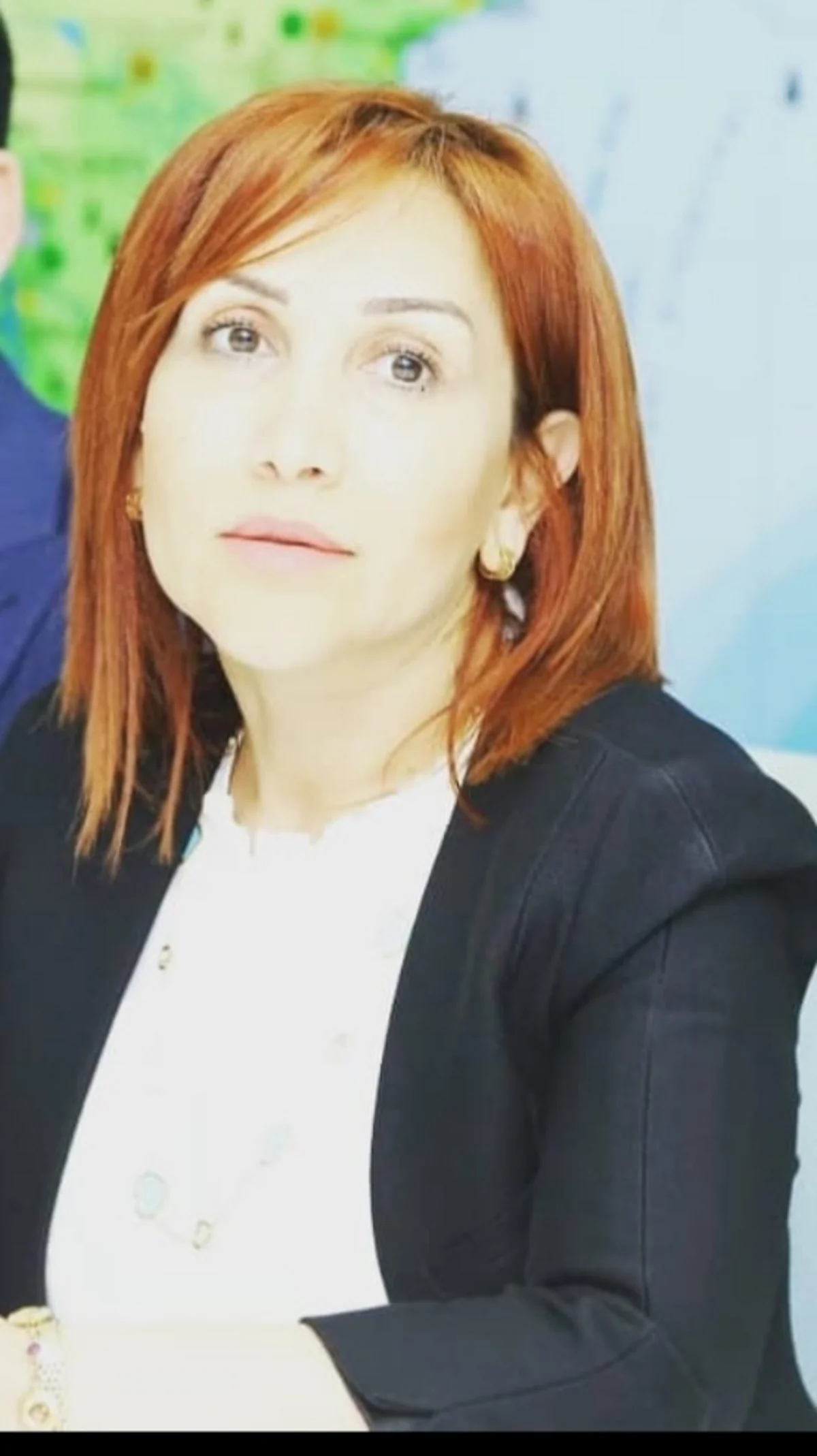 İradə İbrahimova: Yanan meşə sahələrinin hamısında payız mövsümündə ağaclar əkiləcək