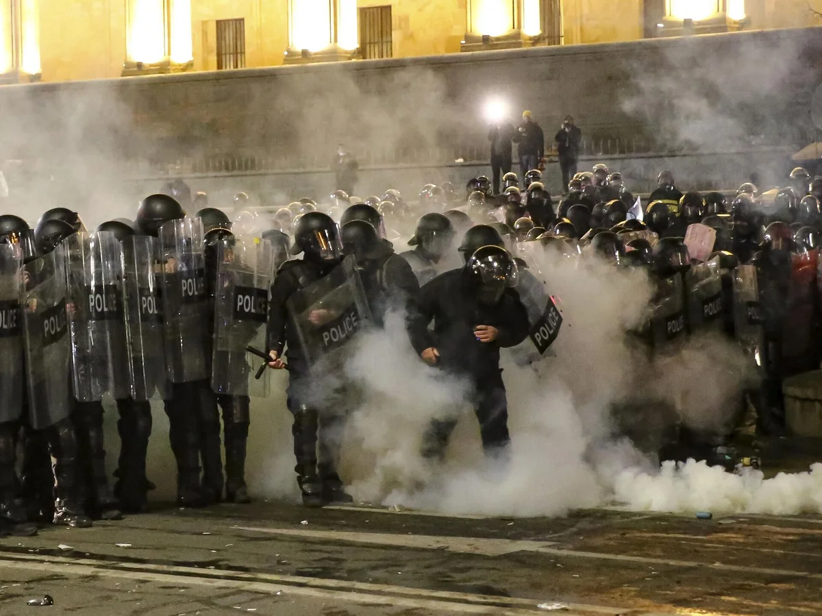 В беспорядках на митинге в Тбилиси задержаны два человека