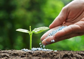 Azerbaijan posts almost 2% growth in fertilizer, nitrogen compounds output