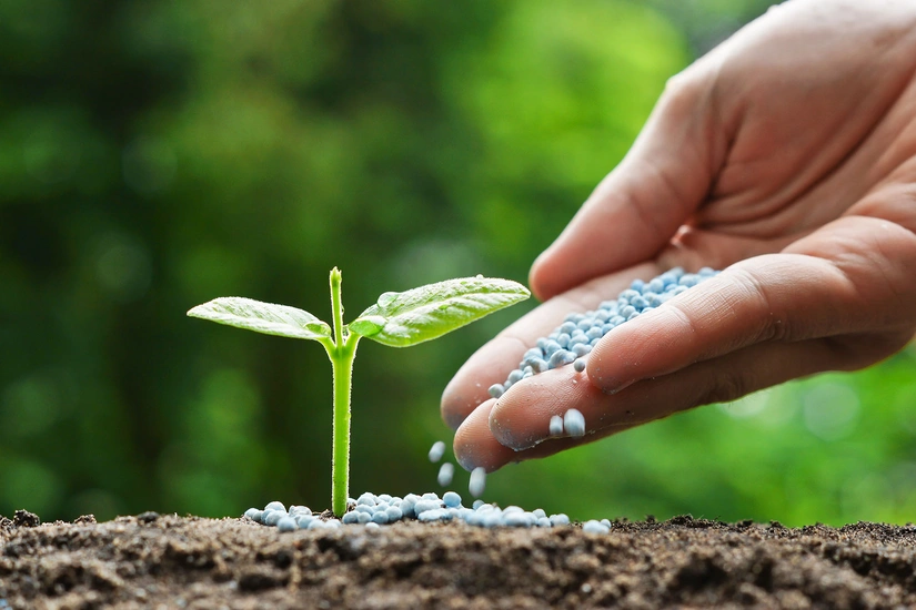 Azerbaijan posts almost 2% growth in fertilizer, nitrogen compounds output