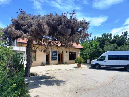 Bakıda ticarət obyektlərinin qarşısında ağacların qurudulmasının qarşısı alınıb
