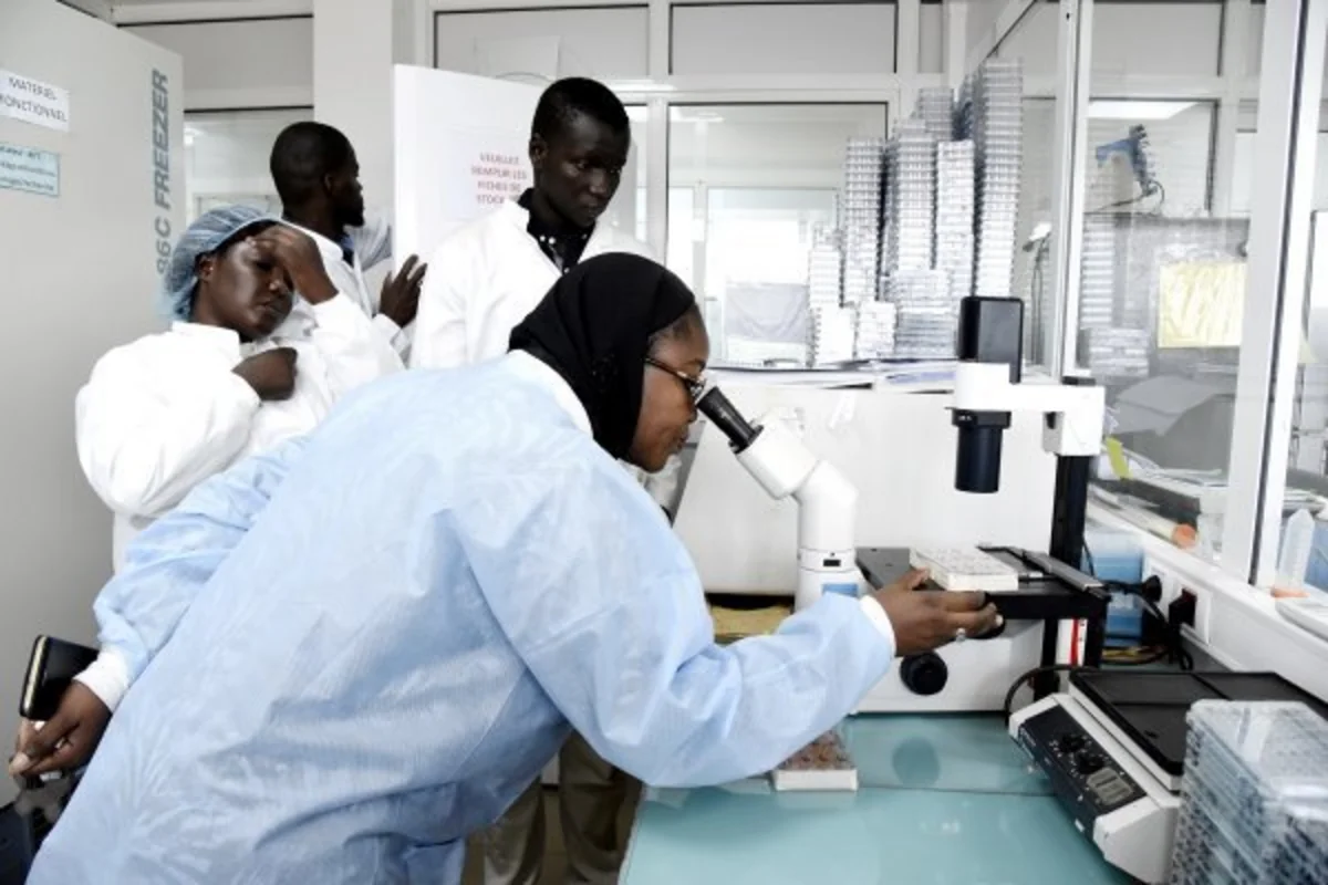 Koronavirus Afrikanı cənginə almağa başladı